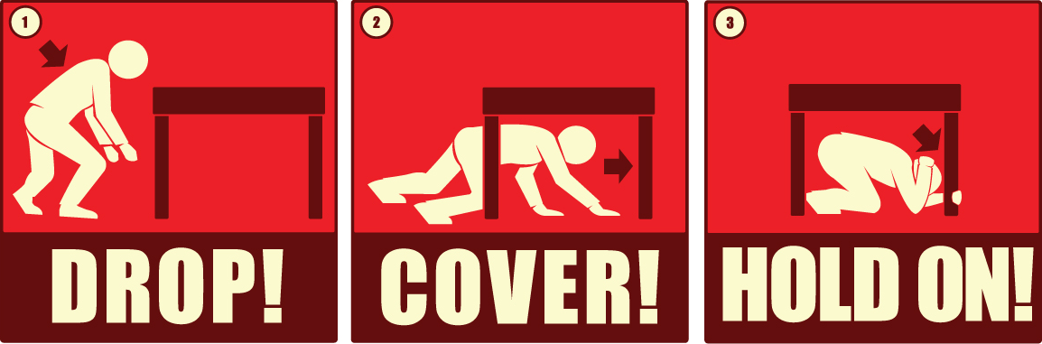 Drop, Cover, Hold On Earthquake instruction image